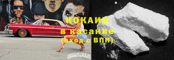 мет Алексин