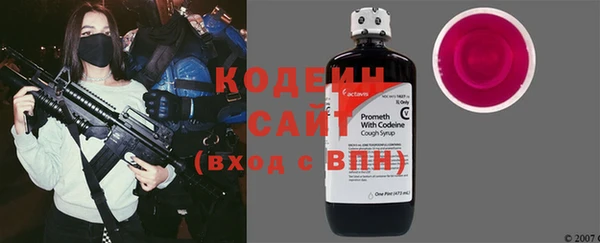 хмурый Пересвет