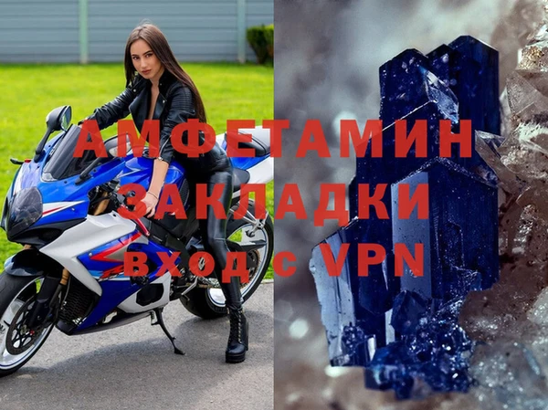 мет Алексин