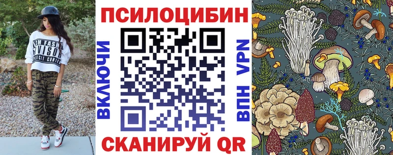 Псилоцибиновые грибы Psilocybe  Киржач 